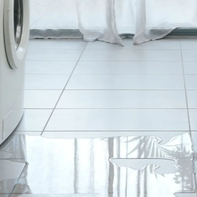 Appliance Leak Cleanup in Grayson, KY