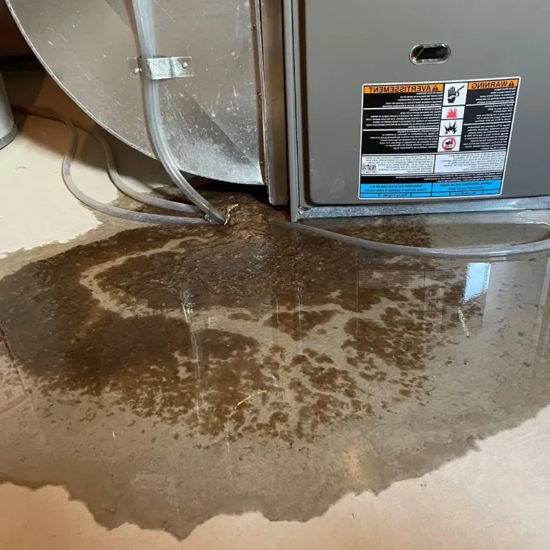 Pipe Burst and Leak Restoration in Grayson, KY